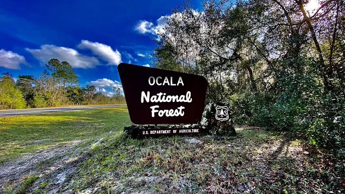 Silver Springs State Park Campground 4