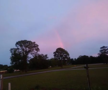 Spanish Palm Estates