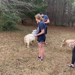 Goat Camp