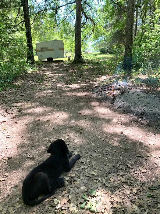 Goat Camp 2