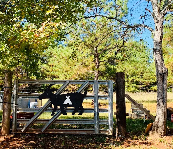 Goat Camp 4