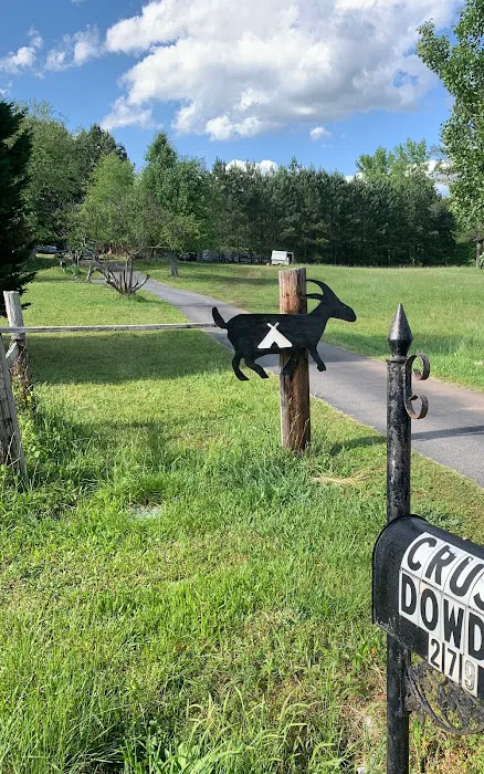 Goat Camp 8
