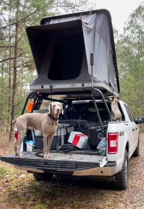 Goat Camp 10
