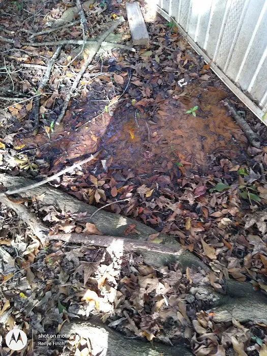 Pine Glen Park 5