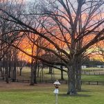 Nutty Acres Micro Rv Park Club