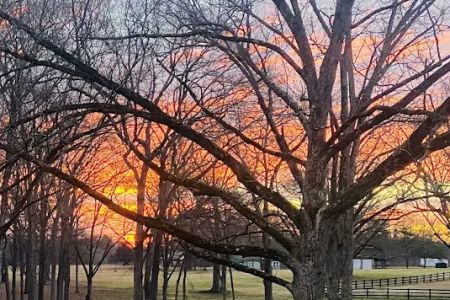 Nutty Acres Micro Rv Park Club