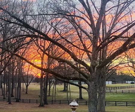 Nutty Acres Micro Rv Park Club