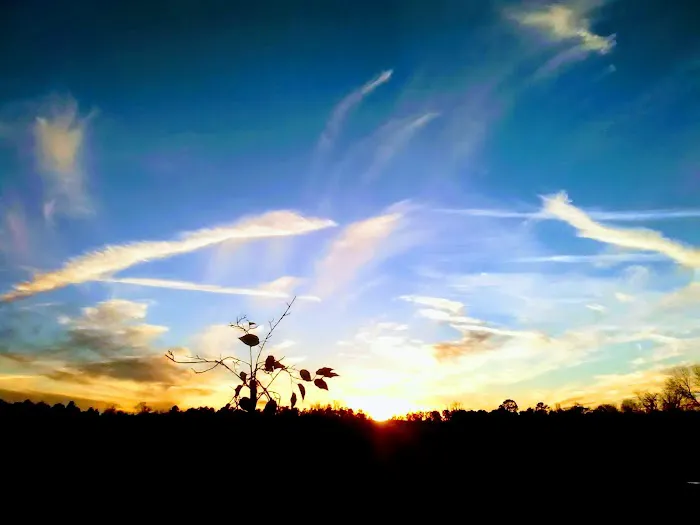 Plantation Mobile Home Park 1