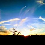 Plantation Mobile Home Park