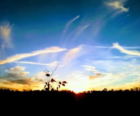 Plantation Mobile Home Park