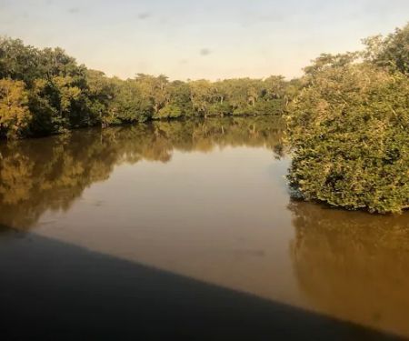 Morgan Lake Hunting & Fishing