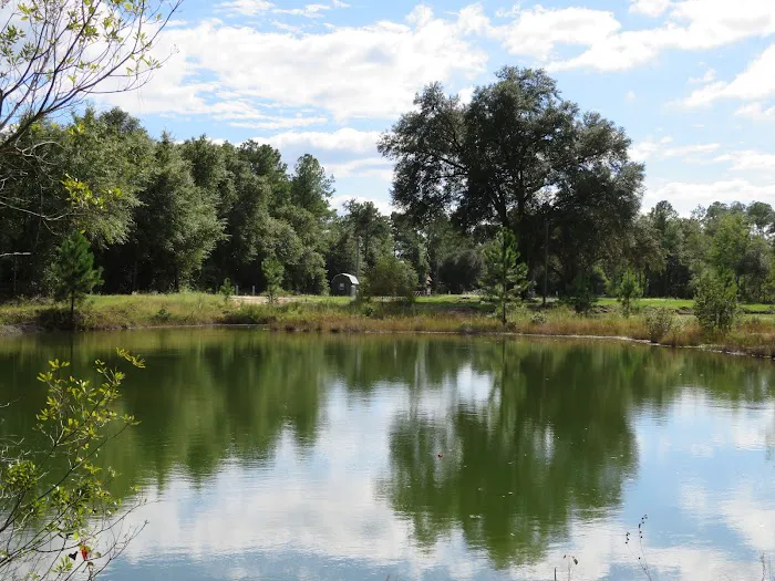 Twin Ponds RV Park and Campground 3