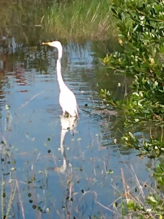 Twin Ponds RV Park and Campground 5