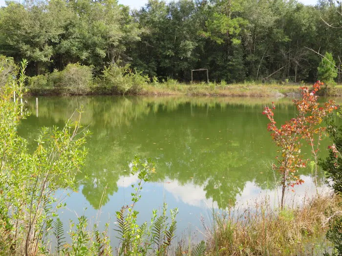 Twin Ponds RV Park and Campground 7