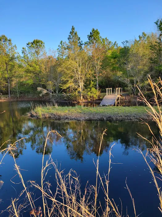 Mossy Oak Campground 2