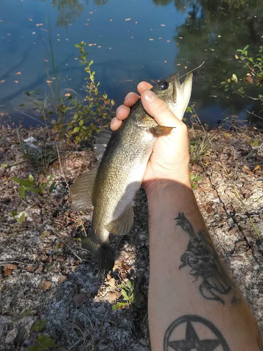 Mossy Oak Campground 6