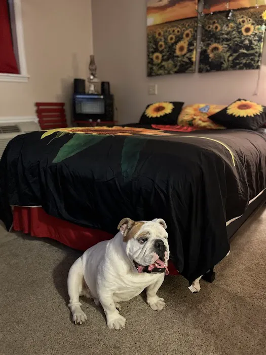 Camping At Dooley’s Empire in Paradise Camper Parking Rental And More 10