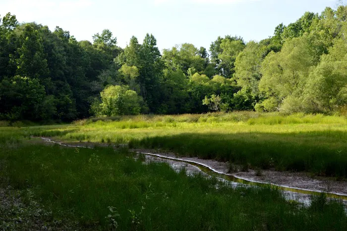 Brush Creek Park 4