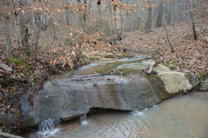 Brush Creek Park 6