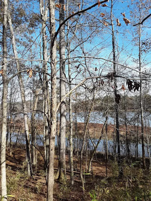 Brush Creek Park 7