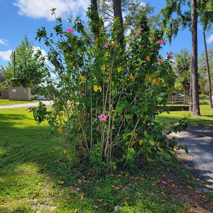 Cherry Blossom RV Resort 7