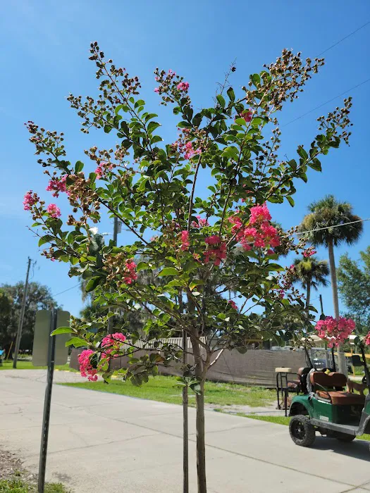 Port Cove RV Resort and Marina 9