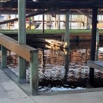 Georgetown Marina, Lodge & Rv Park