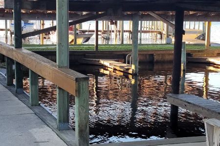 Georgetown Marina, Lodge & Rv Park