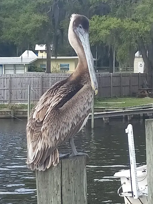Georgetown Marina, Lodge & Rv Park 10