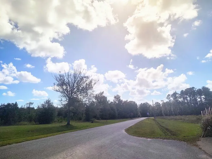 Horne Lake RV Resort 4