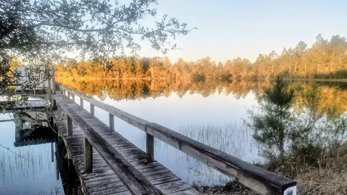 Horne Lake RV Resort 7