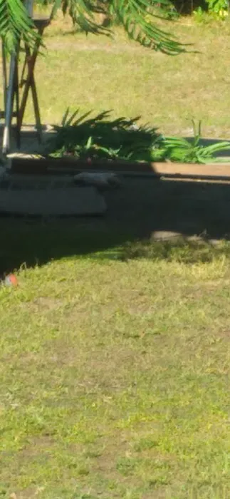 Kiki RV Park 7