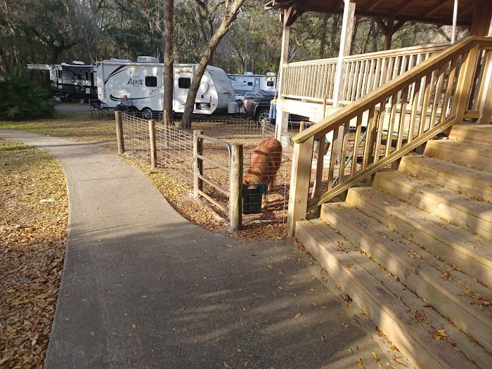 Country Oaks Campground & Rv 1