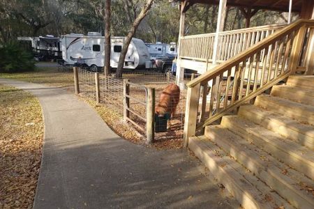 Country Oaks Campground & Rv