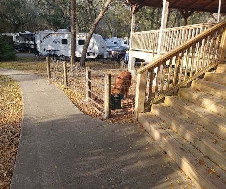 Country Oaks Campground & Rv