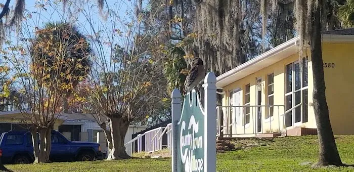 Country Town Village 1