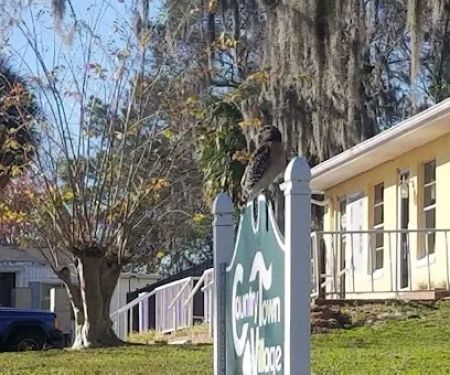 Country Town Village