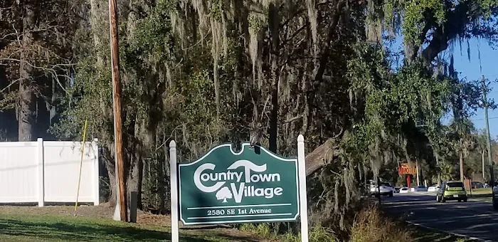 Country Town Village 2