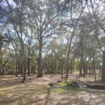 Nature's hug camping