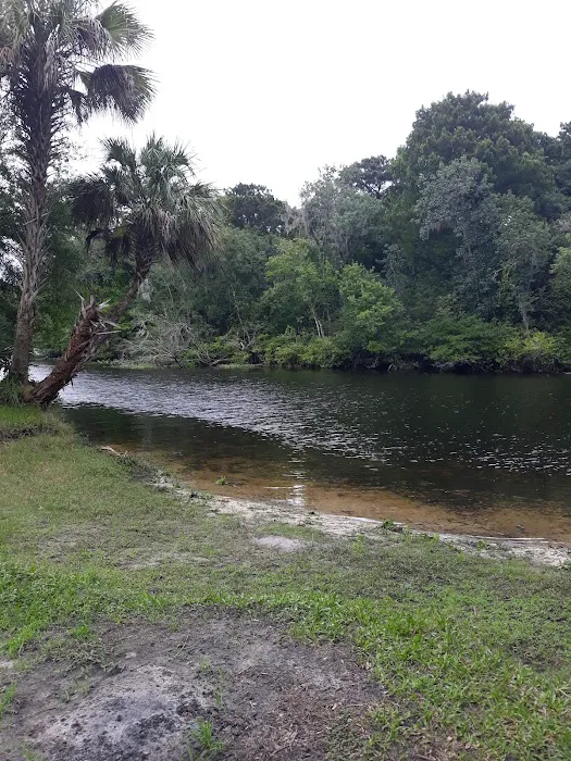 Potts Preserve Campground 3