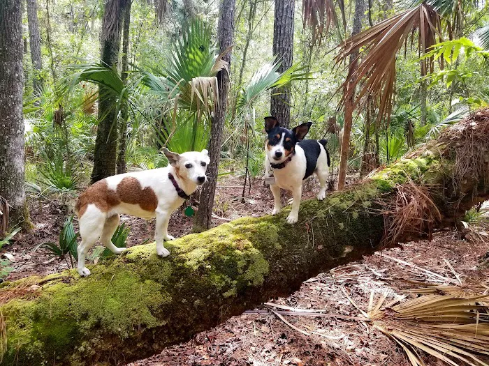 Potts Preserve Campground 4