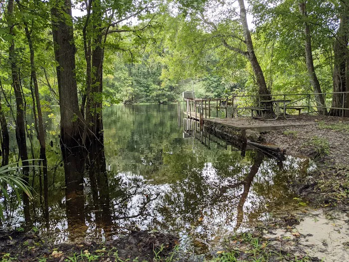 Potts Preserve Campground 2