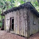 Potts Preserve Campground