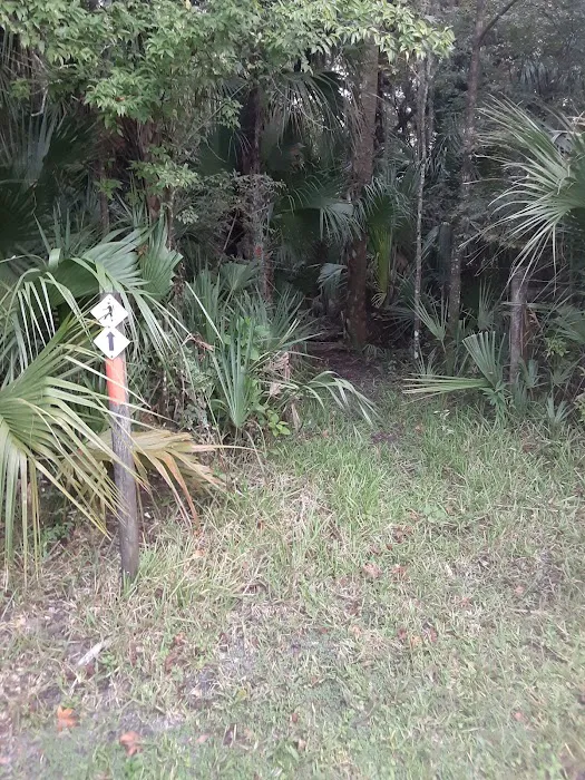 Potts Preserve Campground 9