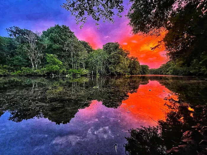 Potts Preserve Campground 8