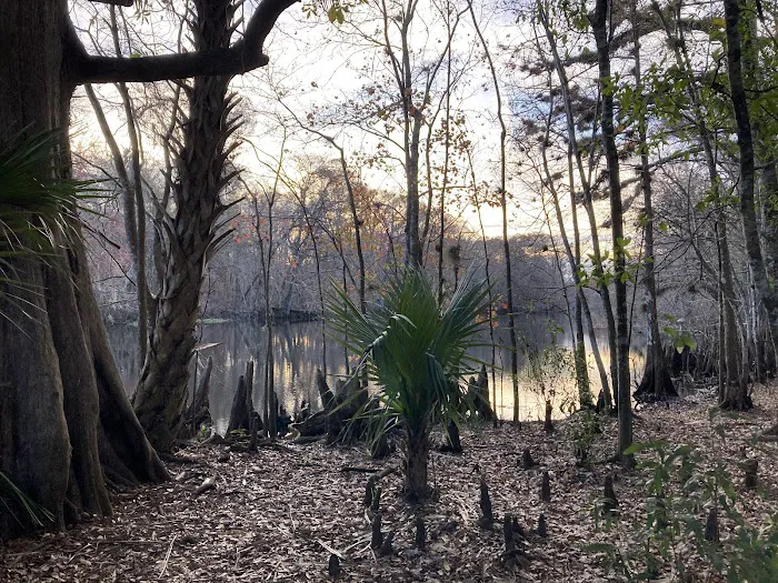 Potts Preserve Campground 10