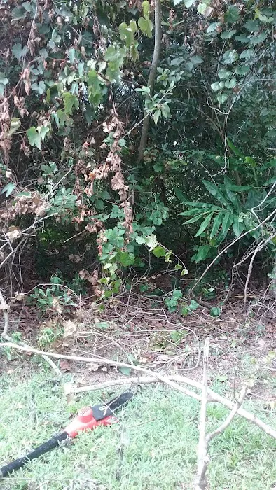 Inverness Park 10