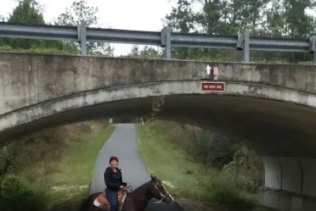 Primative camping spot