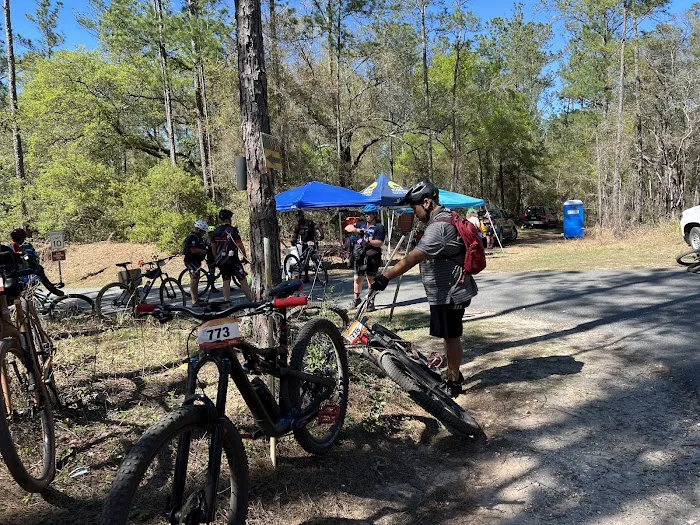 Primative camping spot 6