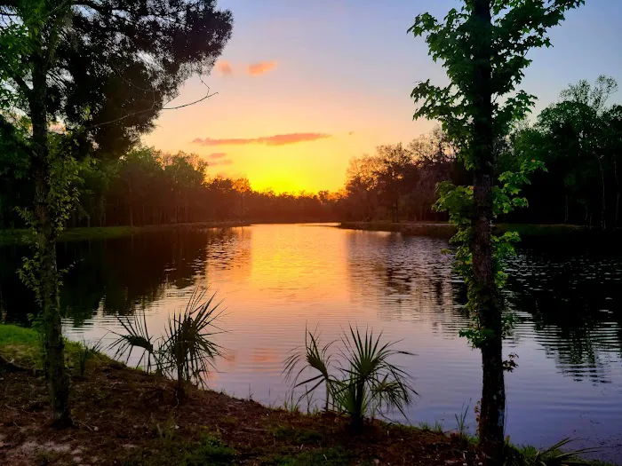 Sweet Citrus Acres RV Resort 6